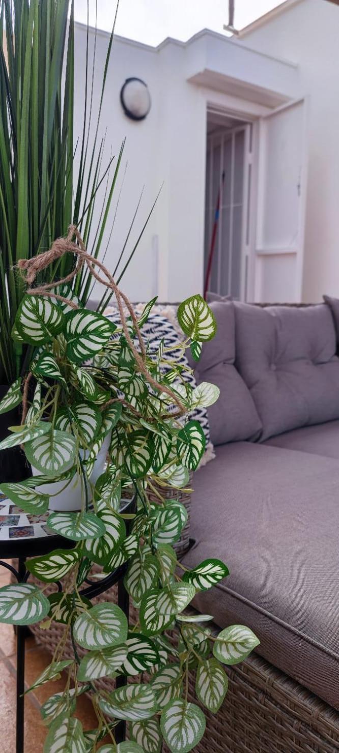 Apartamento Casa De Alba Cabo Cervera La Mata Torrevieja Ngoại thất bức ảnh