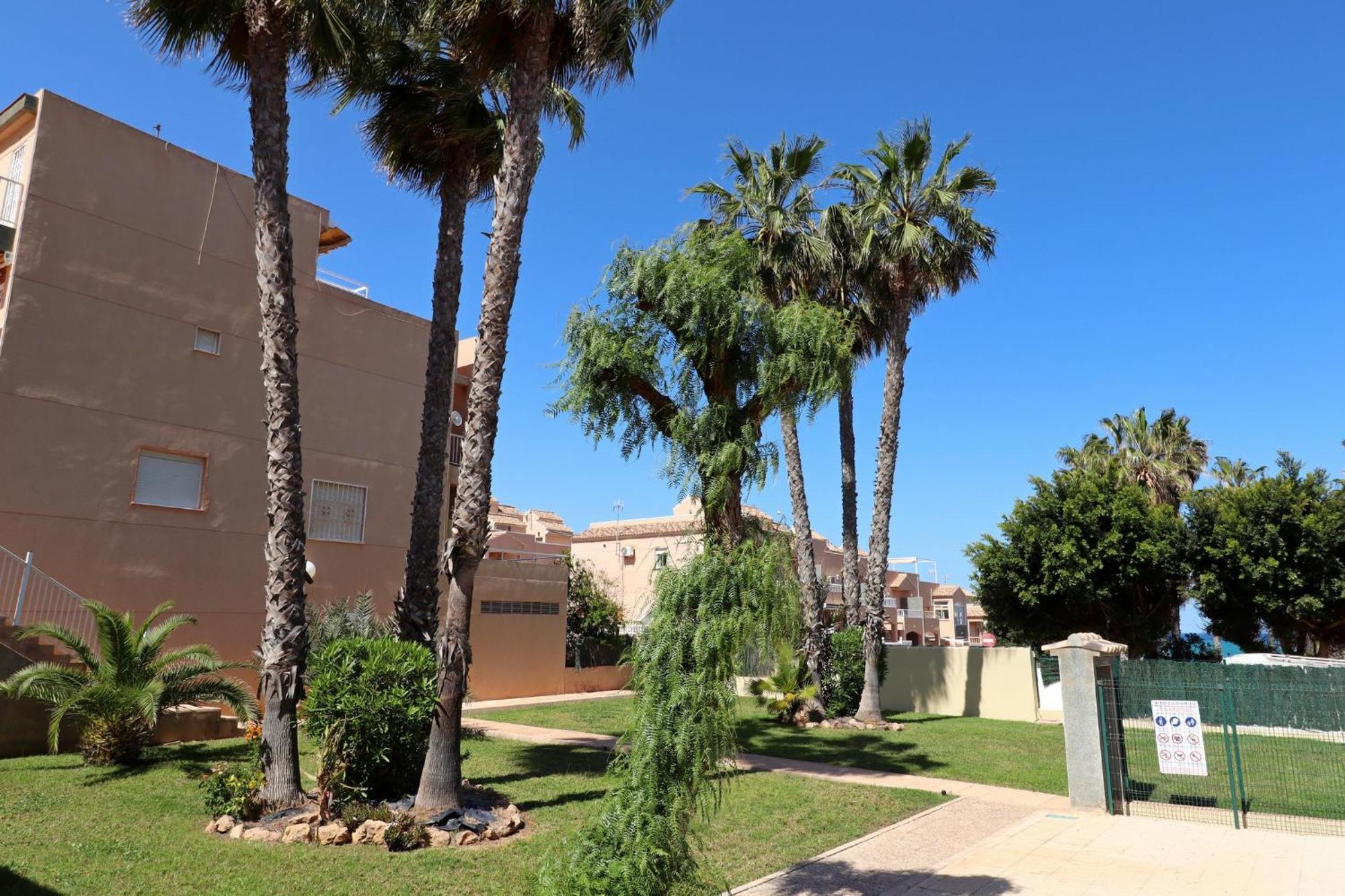 Apartamento Casa De Alba Cabo Cervera La Mata Torrevieja Ngoại thất bức ảnh